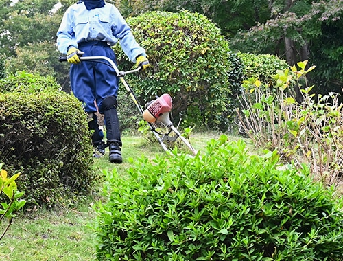 維持・管理業務
