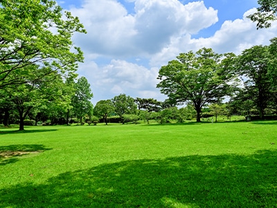 将来性